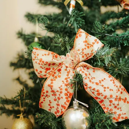 公寓 Quiet Hideway 650ft Ponte Vecchio Costa61 佛罗伦萨